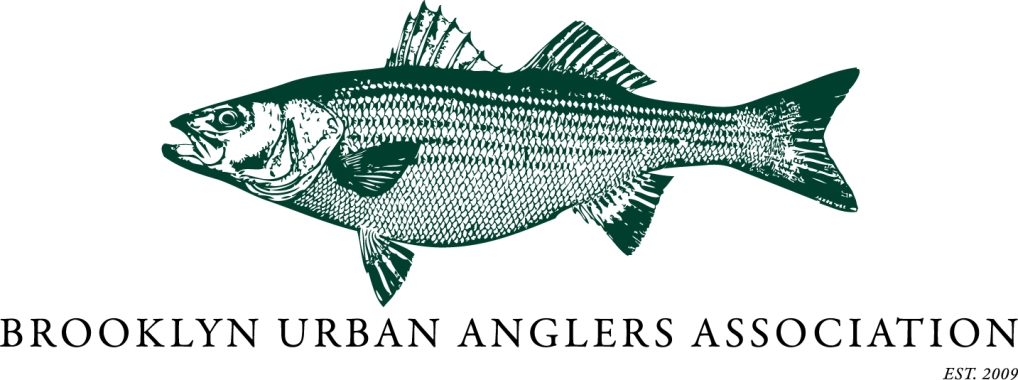 Fishing Reports – BROOKLYN URBAN ANGLERS ASSOCIATION
